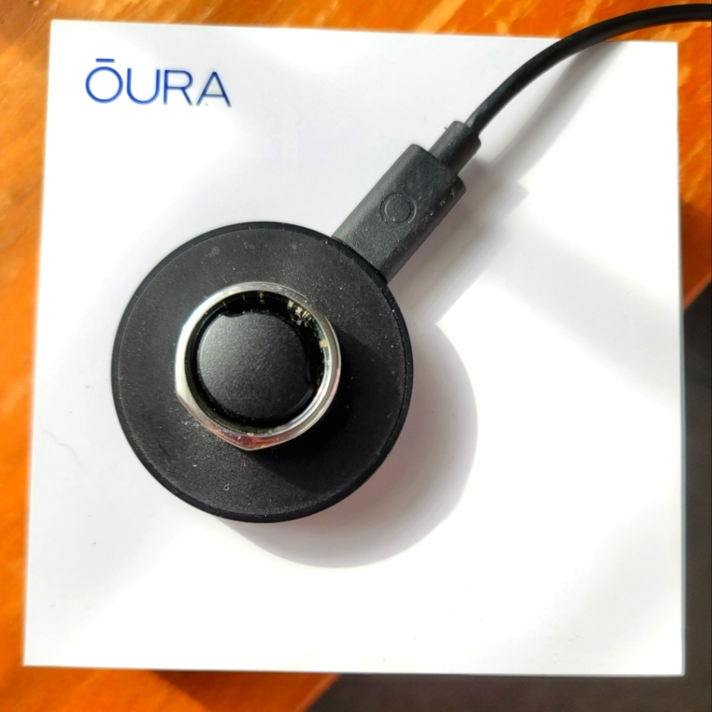 Oura Ring Gen3 Heritage Size 9 Silver